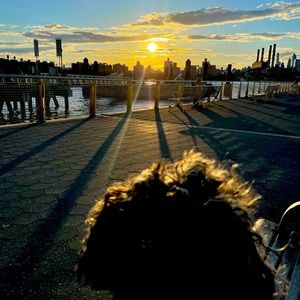 Meet your Posher, Lucy